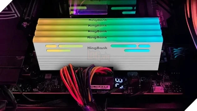 DDR5 "Made in China" ngày càng phổ biến