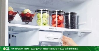 Nhiều người đang bảo quản thức ăn trong tủ lạnh sai cách mà không hề hay biết