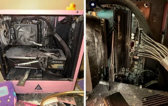 PC gaming vô tình cứu chủ nhân khỏi viên đạn lạc, thủ phạm lại là... một chú chó