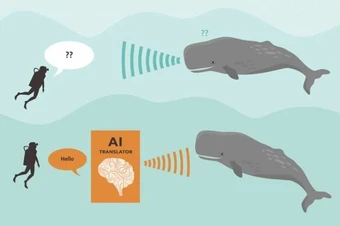 AI đang giải mã ngôn ngữ động vật, con người sẽ có thể nói chuyện với chúng?