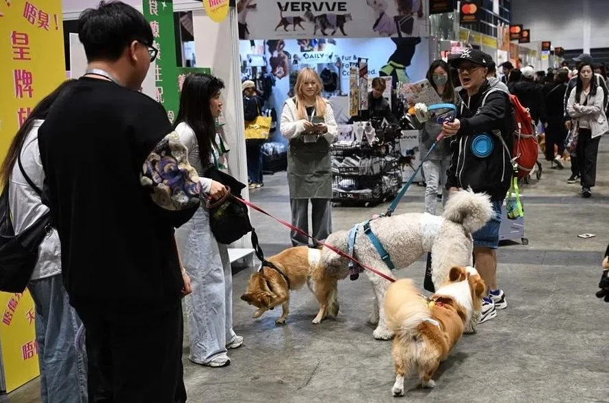 AI dịch tiếng mèo, robot trông thú cưng: Xu thế phát triển công nghệ vật nuôi bùng nổ trong kỷ nguyên AI và tỷ lệ sinh giảm AI dịch tiếng mèo, robot trông thú cưng: Xu thế phát triển công nghệ vật nuôi bùng nổ trong kỷ nguyên AI và tỷ lệ sinh giảm