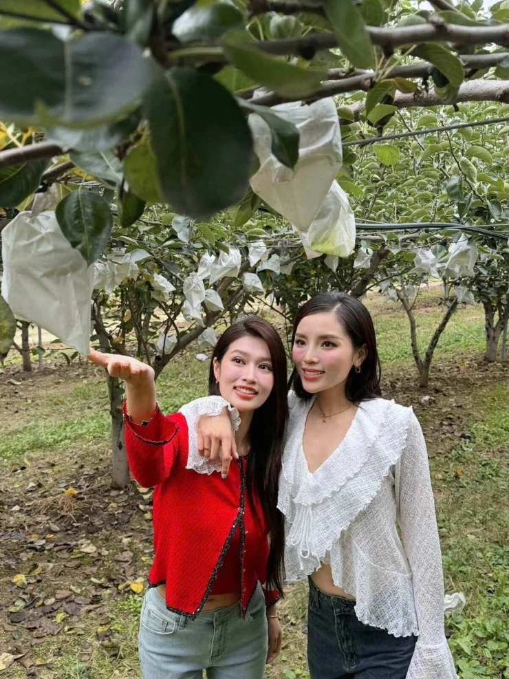 Ảnh sao 12/9: Ngô Thanh Vân cho con gái về quê ngoại Na Uy