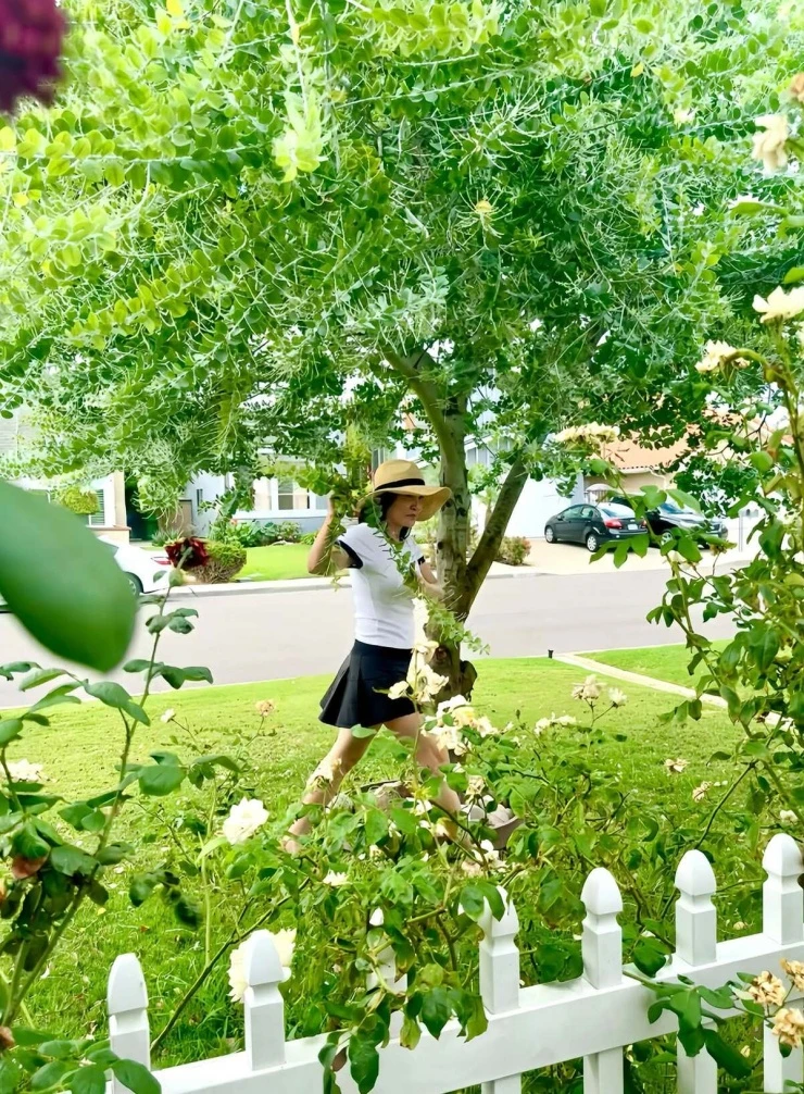 Ảnh sao 17/9: Vũ Thúy Quỳnh tự thấy mình hợp mang bầu