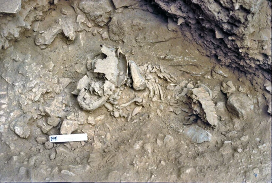 Bí ẩn trẻ sơ sinh Neanderthal lớn nhanh gấp đôi người hiện đại, đạt kích thước trẻ một tuổi chỉ sau sáu tháng