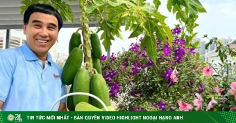Biệt thự ngập hoa rộng 500 m2 của vợ chồng Quyền Linh