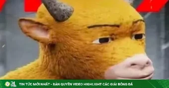 Bộ phim khiến các đạo diễn đòi bỏ nghề, bị coi là nỗi sỉ nhục của Trung Quốc