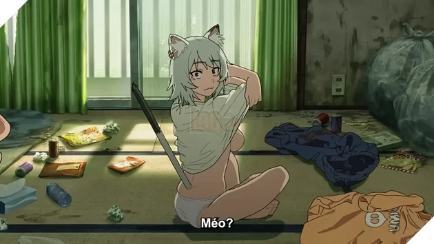 Bóng đen đằng sau cơn sốt "Yani Neko": Nhìn lại nghi vấn tranh cãi và sự ra đi bí ẩn của tác giả manga Satsudou