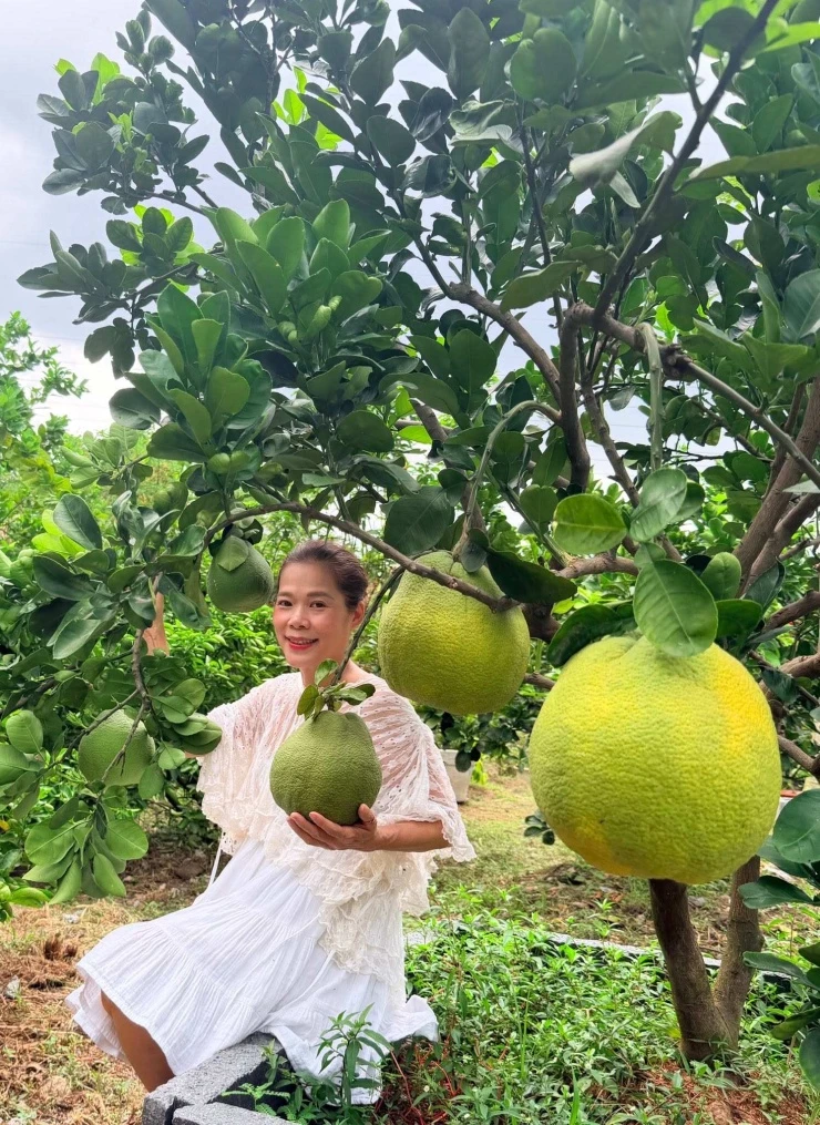 Ca sĩ đắt show nhất thập niên 2000, hiện làm Phó Chủ tịch tập đoàn: “Trong các nghề thì nghề làm nông là bền vững nhất”
