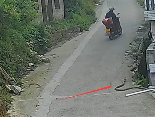 Chi tiết bất thường ở nhà hàng xóm khiến người đàn ông vội gọi cảnh sát: Kịp thời cứu mạng 2 trẻ nhỏ