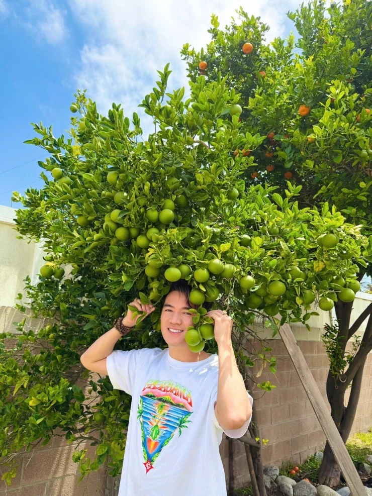 Đàm Vĩnh Hưng khoe cây trái trĩu cành trong biệt thự ở Mỹ