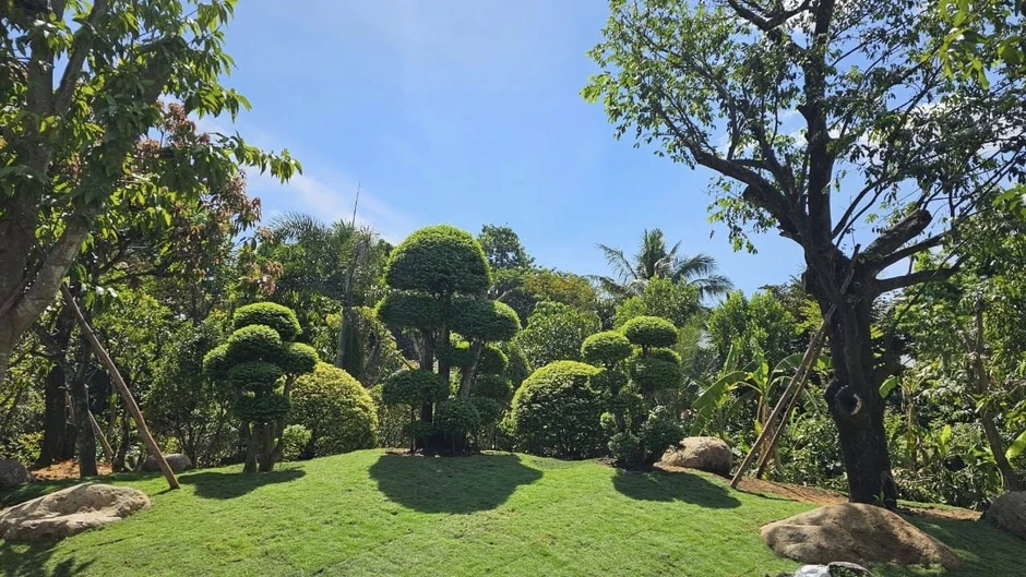 Đệ nhất mỹ nhân Việt Trinh ở tuổi 54: "Nhiều người bảo Trinh sao giờ mập thù lù, kêu Trinh nói xạo" Đệ nhất mỹ nhân Việt Trinh ở tuổi 54: "Nhiều người bảo Trinh sao giờ mập thù lù, kêu Trinh nói xạo"