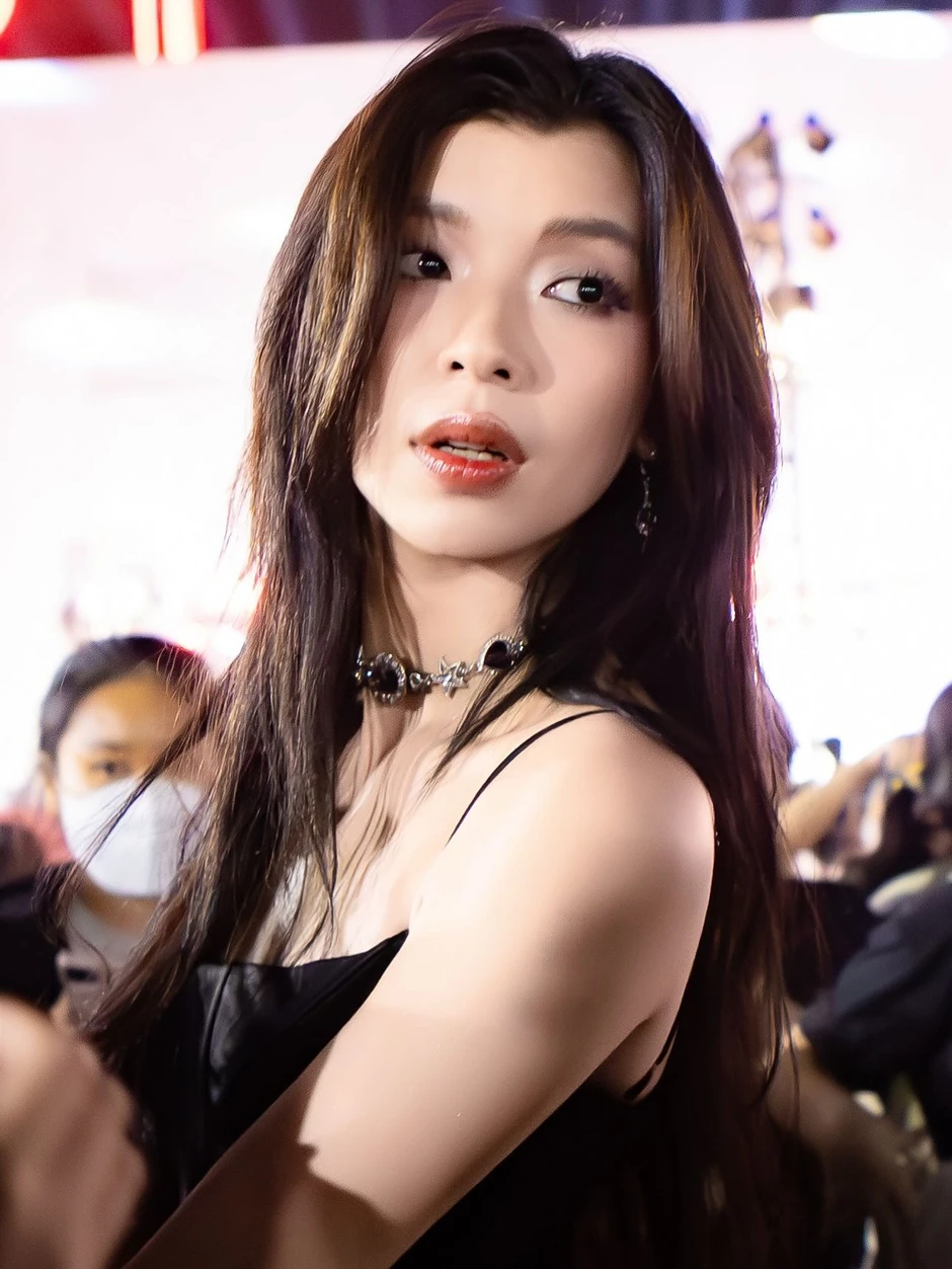 Đồng Ánh Quỳnh xin lỗi