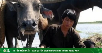 Đóng phim cùng… 300 con trâu, dàn sao Việt kể chuyện “dở khóc dở cười”