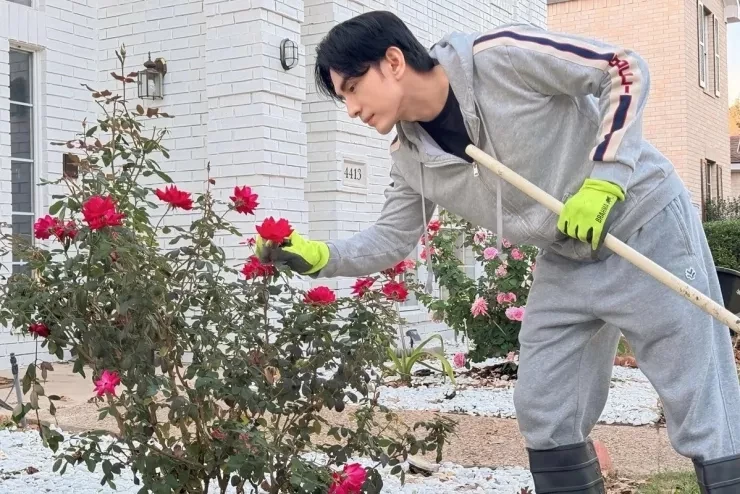 Hàng chục khóm hồng khoe sắc trong biệt thự của Đan Trường ở Mỹ Hàng chục khóm hồng khoe sắc trong biệt thự của Đan Trường ở Mỹ