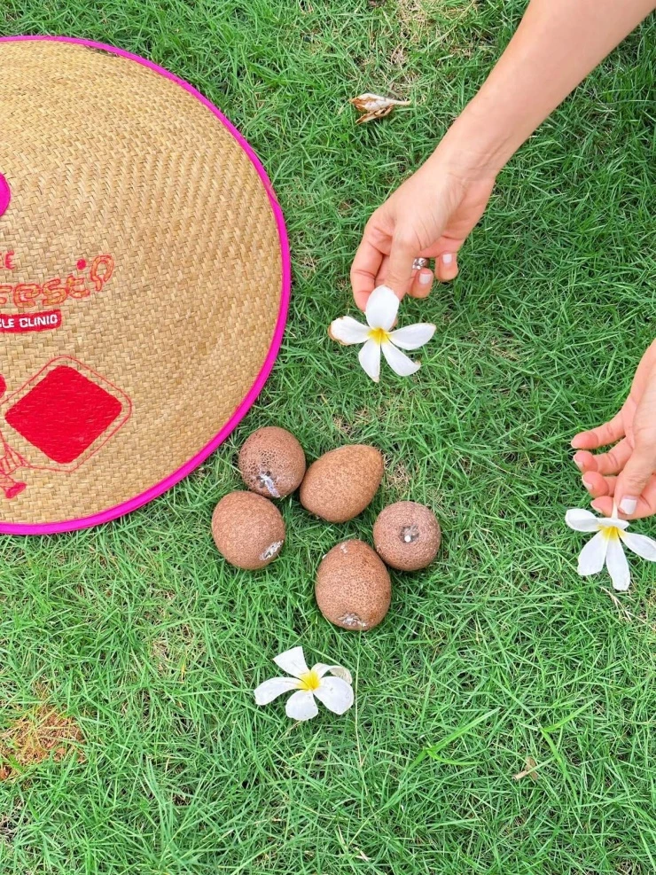Hoa trái nở rộ trong biệt thự vùng ven của vợ chồng Hoàng Bách