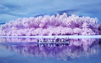 Hòn đảo nơi người dân hầu hết đều bị mù màu: Mọi chuyện bắt đầu vào năm 1775