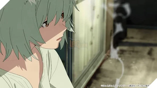 Khán giả Nhật Bản phản pháo luận điểm "Anime không còn làm cho người Nhật": Dẫn chứng "Chainsmoker Cat" và cơn sốt phòng vé "Chiikawa"