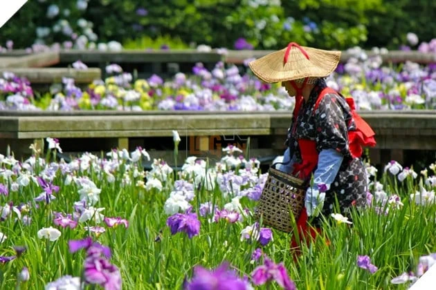 Khi "vẻ đẹp ảo" lấn át cảnh sắc thật: Công viên Nhật Bản lên tiếng về tình trạng Cosplayer chiếm dụng không gian