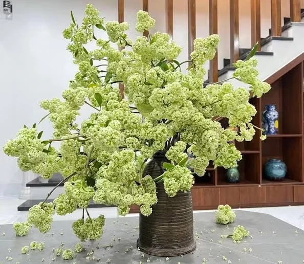 MC Diễm Quỳnh bênh hoa sữa