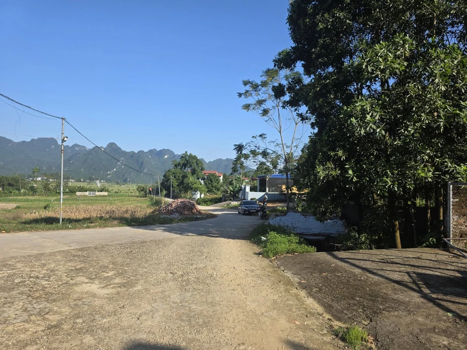 Nam nghệ sĩ, Phó giám đốc Trung tâm Điện ảnh Văn hóa, Thể thao và Du lịch rao bán đất gần 200m2