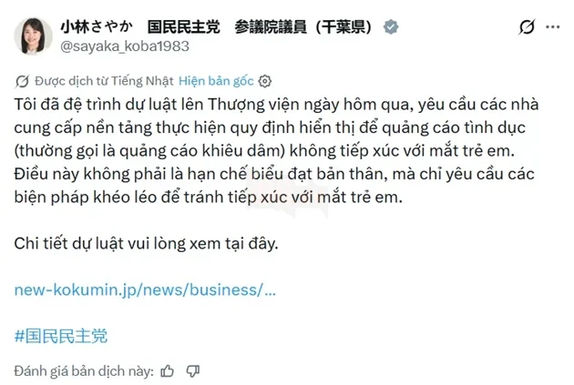 Nguy cơ "bóp nghẹt" Anime & Manga: Dự luật kiểm duyệt quảng cáo nhạy cảm tại Nhật Bản hứng chịu búa rìu dư luận