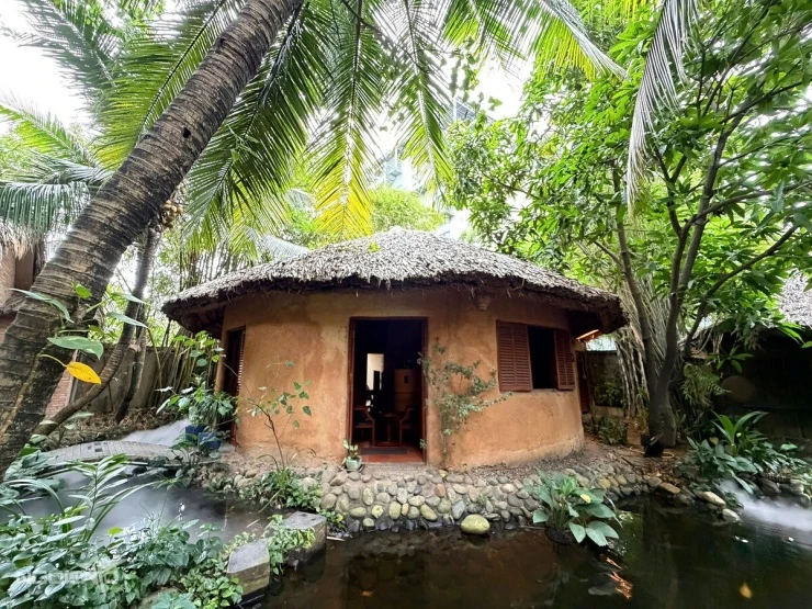 Nhà vườn gần 2.000 m2 của Johnny Trí Nguyễn ở TP HCM