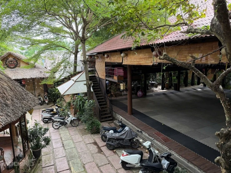 Nhà vườn gần 2.000 m2 của Johnny Trí Nguyễn ở TP HCM