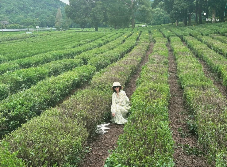 Nhịp sống chậm của ni cô đẹp nhất Tiếu ngạo giang hồ Nhịp sống chậm của ni cô đẹp nhất Tiếu ngạo giang hồ