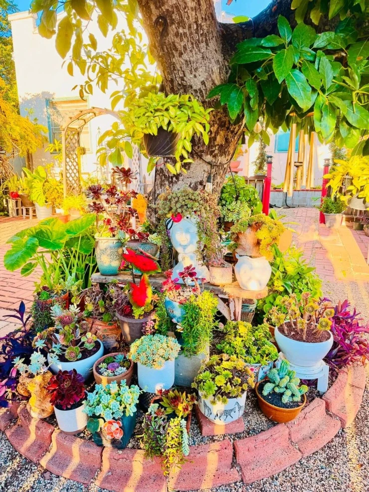 Niềm vui vườn tược của Thúy Nga ở Mỹ