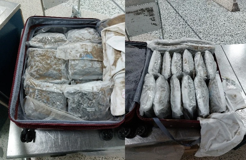 Nữ KOL 23 tuổi bị bắt vì buôn chất cấm, phát hiện 17 kg tang vật trong vali