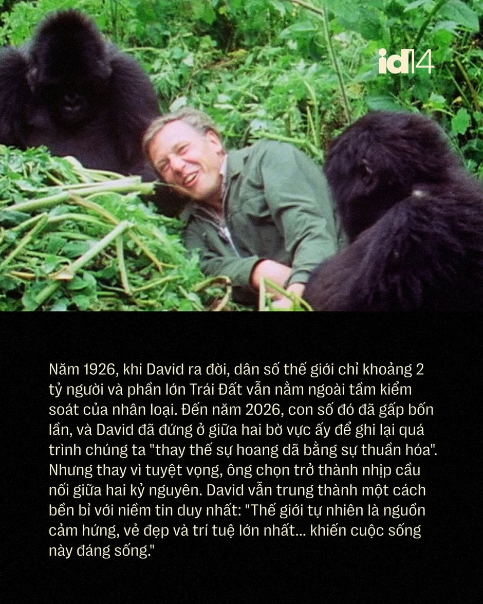 Sir David Attenborough: 100 năm sống, 70 năm làm phim tài liệu và một "hiệu ứng" làm thay đổi thói quen của cả hành tinh Sir David Attenborough: 100 năm sống, 70 năm làm phim tài liệu và một "hiệu ứng" làm thay đổi thói quen của cả hành tinh