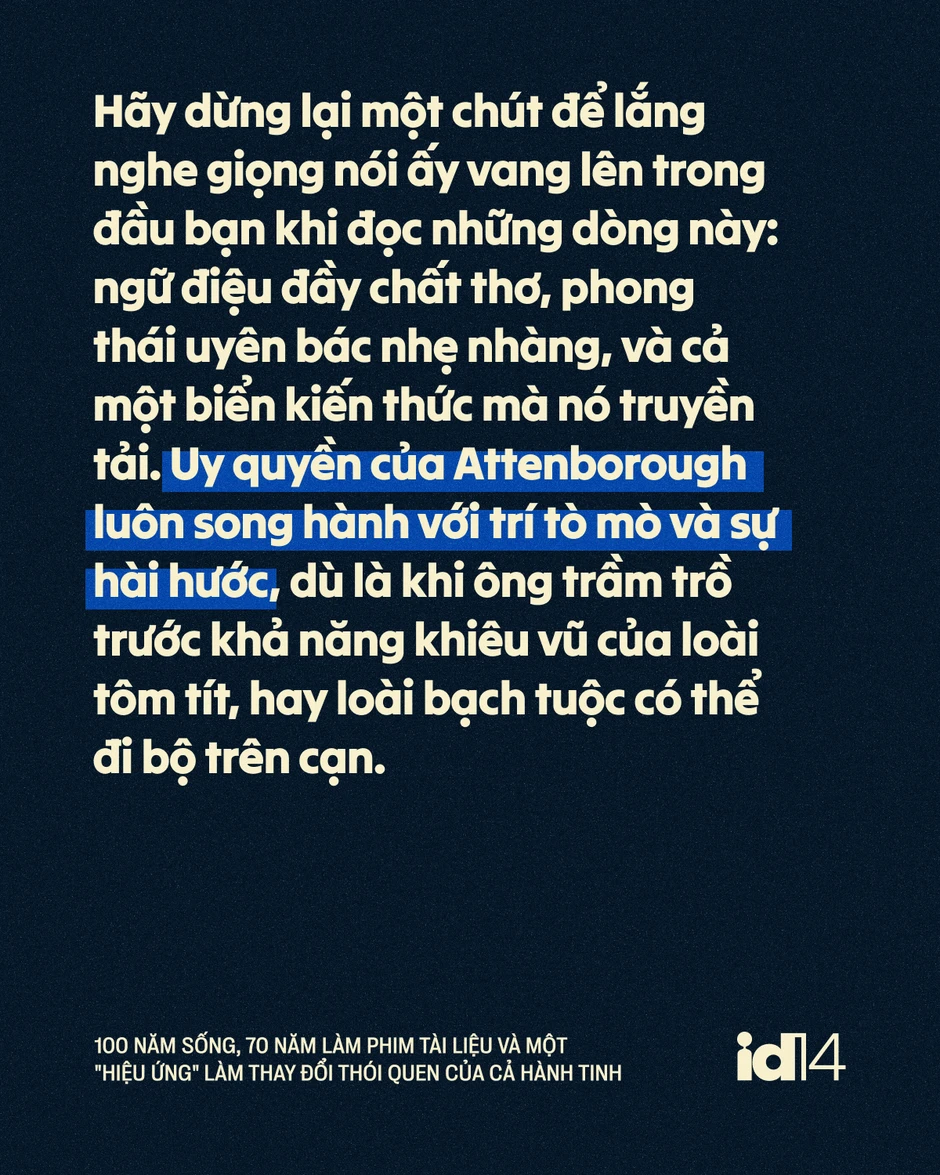 Sir David Attenborough: 100 năm sống, 70 năm làm phim tài liệu và một "hiệu ứng" làm thay đổi thói quen của cả hành tinh Sir David Attenborough: 100 năm sống, 70 năm làm phim tài liệu và một "hiệu ứng" làm thay đổi thói quen của cả hành tinh