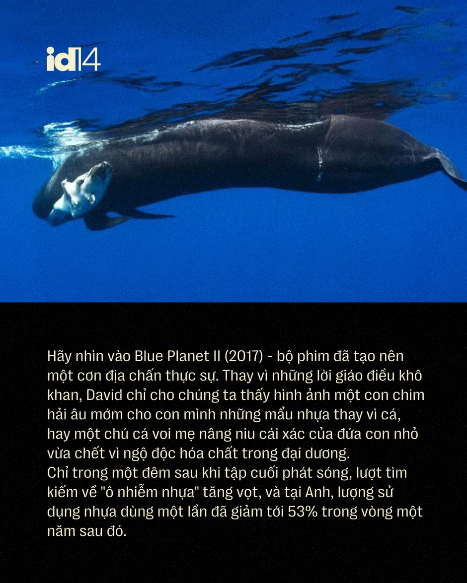 Sir David Attenborough: 100 năm sống, 70 năm làm phim tài liệu và một "hiệu ứng" làm thay đổi thói quen của cả hành tinh Sir David Attenborough: 100 năm sống, 70 năm làm phim tài liệu và một "hiệu ứng" làm thay đổi thói quen của cả hành tinh
