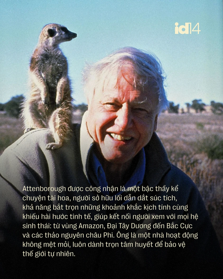 Sir David Attenborough: 100 năm sống, 70 năm làm phim tài liệu và một "hiệu ứng" làm thay đổi thói quen của cả hành tinh Sir David Attenborough: 100 năm sống, 70 năm làm phim tài liệu và một "hiệu ứng" làm thay đổi thói quen của cả hành tinh