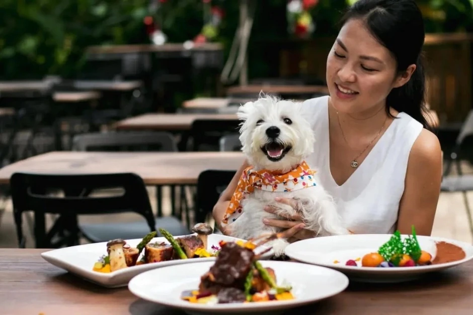 SỐC: Nhà hàng đập bỏ 600 bộ bát đĩa, đóng cửa khử trùng vì khách cho thú cưng lên bàn ăn