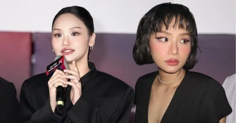 Sự nghiệp Miu Lê ảnh hưởng thế nào sau khi bị khởi tố tạm giam?
