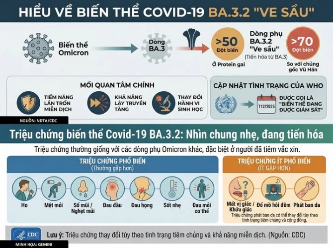 Tất cả những điều cần biết về biến thể COVID-19 "ve sầu" đang lây lan khắp 23 quốc gia, trong đó có cả Việt Nam