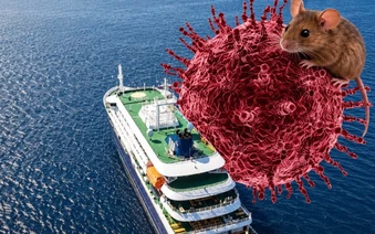 Toàn cảnh hành trình trên du thuyền mang virus Hanta khiến cả thế giới lo ngại: Hơn 1 tháng “nín thở” và tình hình hiện tại