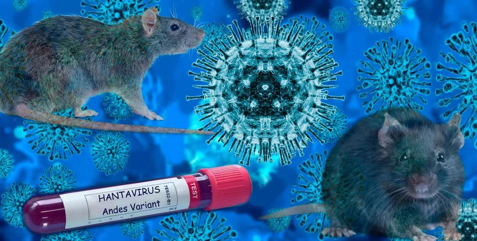 Toàn cảnh hành trình trên du thuyền mang virus Hanta khiến cả thế giới lo ngại: Hơn 1 tháng “nín thở” và tình hình hiện tại