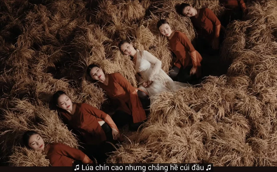 Tranh cãi câu hát Lúa chín cao mà chẳng hề cúi đầu của Hòa Minzy