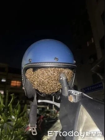 Treo mũ bảo hiểm qua đêm, người phụ nữ "lạnh sống lưng" khi phát hiện thứ đang động đậy bên trong