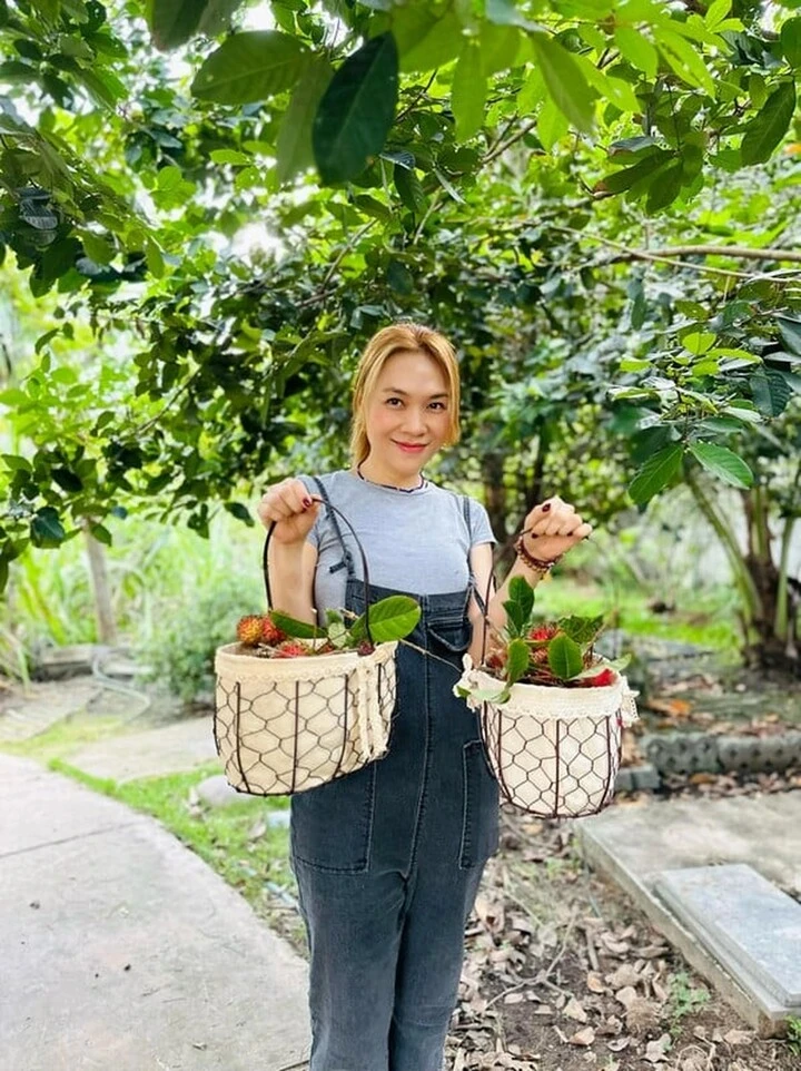 Vì sao Mỹ Tâm có biệt danh Hoạ mi tóc nâu? Vì sao Mỹ Tâm có biệt danh Hoạ mi tóc nâu?