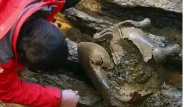 Vừa rút nước khỏi mộ cổ 2.000 năm, nhóm khảo cổ bất ngờ trước bóng đen đang bò ra từ bóng tối Vừa rút nước khỏi mộ cổ 2.000 năm, nhóm khảo cổ bất ngờ trước bóng đen đang bò ra từ bóng tối