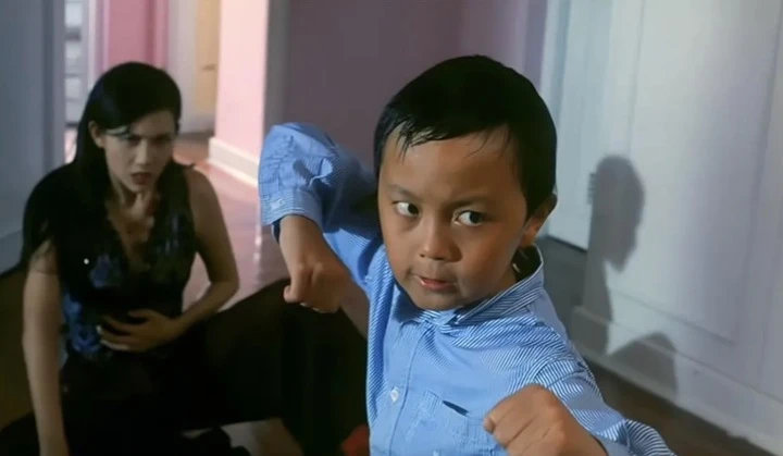 "Thần đồng võ thuật" nổi tiếng toàn châu Á, giải nghệ năm 11 tuổi giờ ra sao?