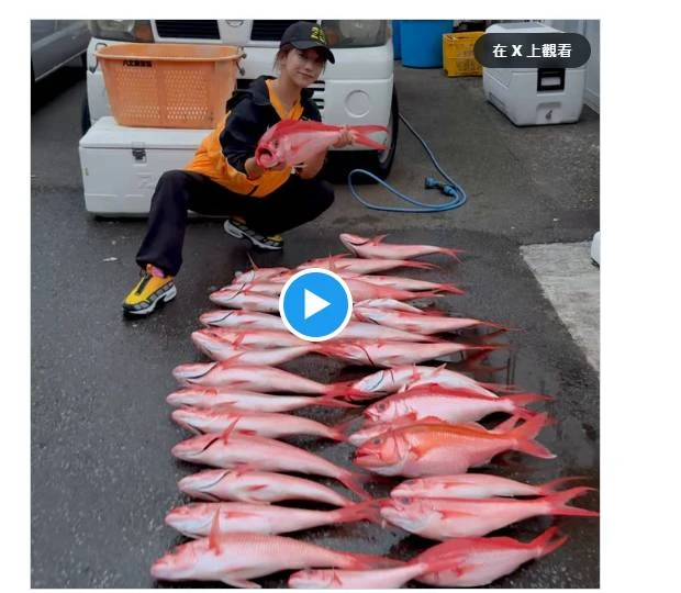 "Thiên thần nụ cười" Niko Kawagoe gây sốt: Một mình đi biển câu 34 con cá về nấu cho fan ăn