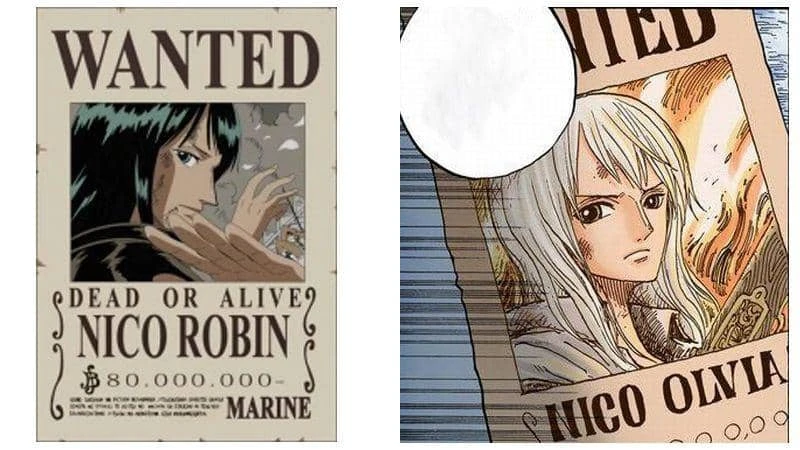 8 sự thật về Nico Olvia: Người mẹ học thức và kiên cường của Robin trong One Piece