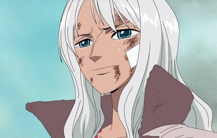 8 sự thật về Nico Olvia: Người mẹ học thức và kiên cường của Robin trong One Piece