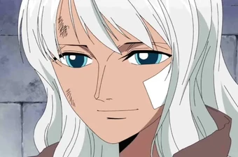 8 sự thật về Nico Olvia: Người mẹ học thức và kiên cường của Robin trong One Piece