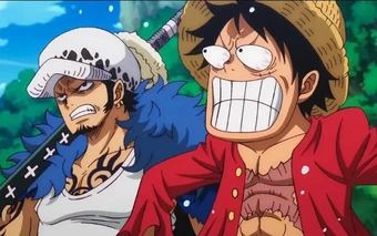 Bí ẩn chữ "D" trong One Piece: Những giả thuyết chấn động nhất về kẻ thù tự nhiên của các vị thần