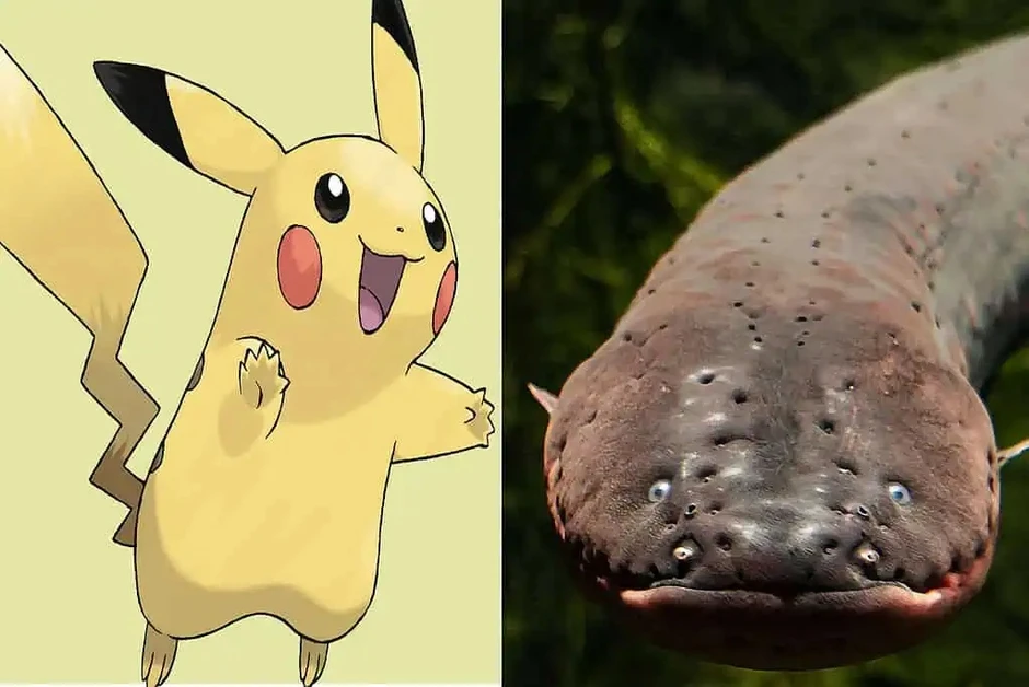 Bí ẩn về 7 loài động vật có sức mạnh tương đồng với Pokémon huyền thoại